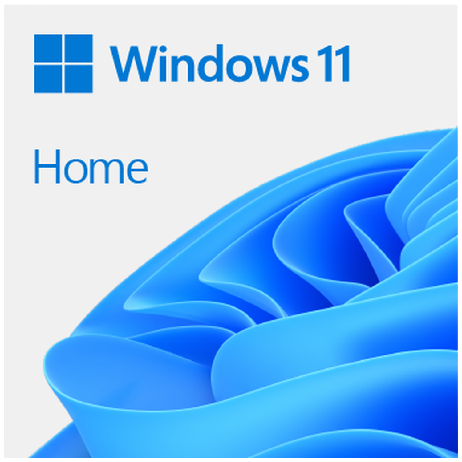 Microsoft Win 11 Home Esd Nl