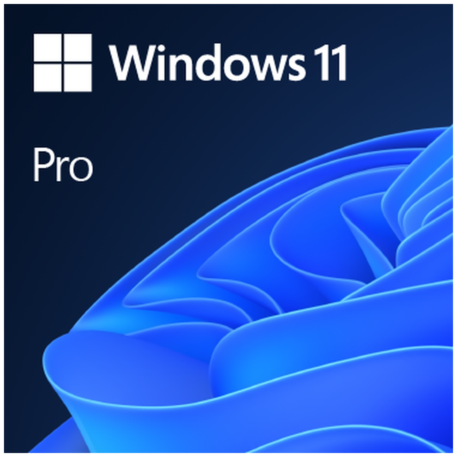 Microsoft Win 11 Pro Esd Nl