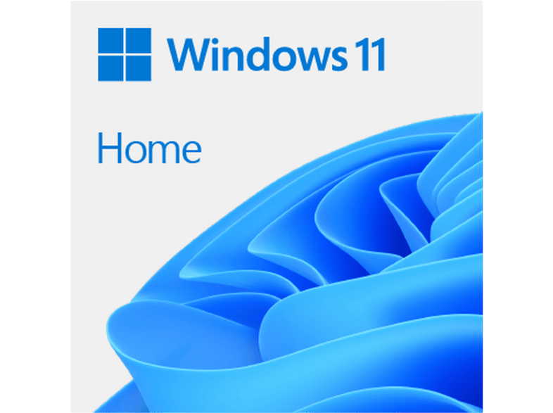 Microsoft Windows 11 Home ESD