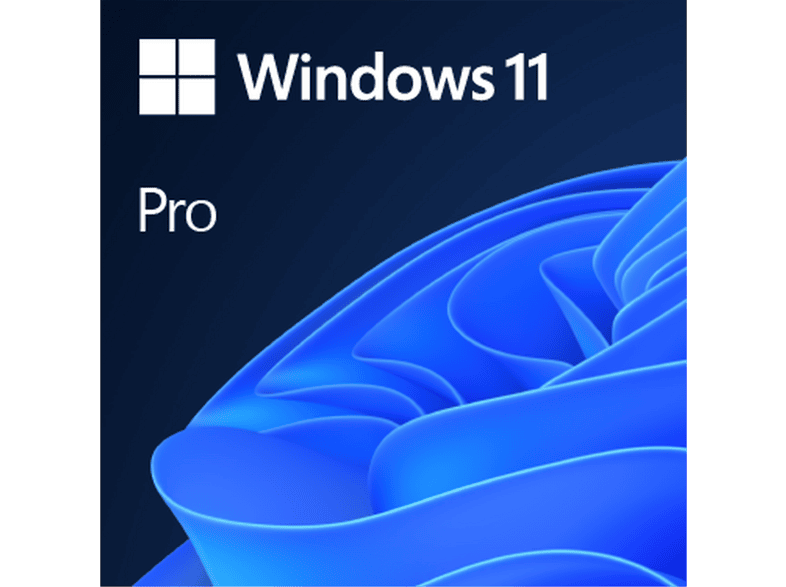 Microsoft Win 11 Pro Esd Be