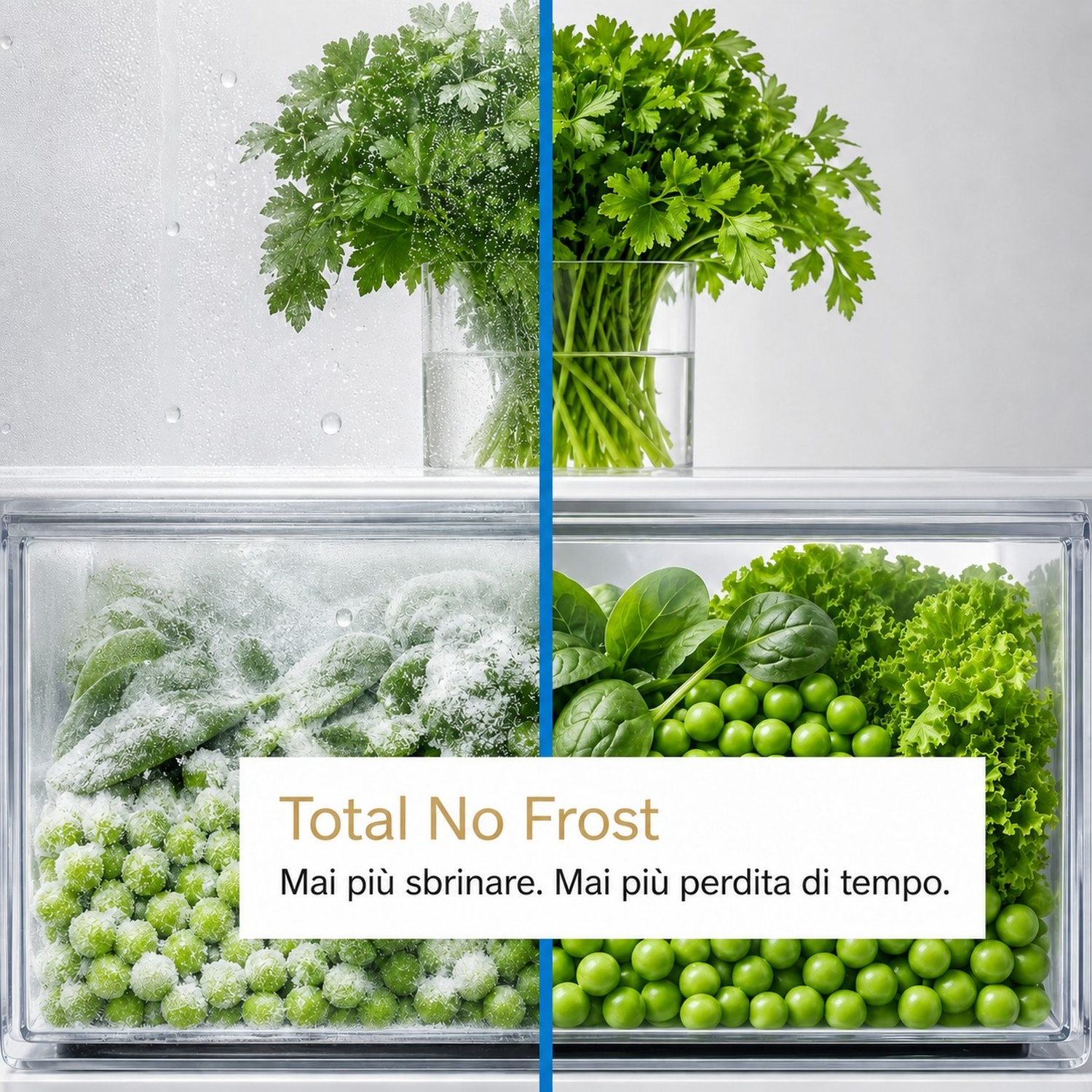 Confronto verdure: brina a sinistra, verdure fresche nel cassetto destro Total No Frost.