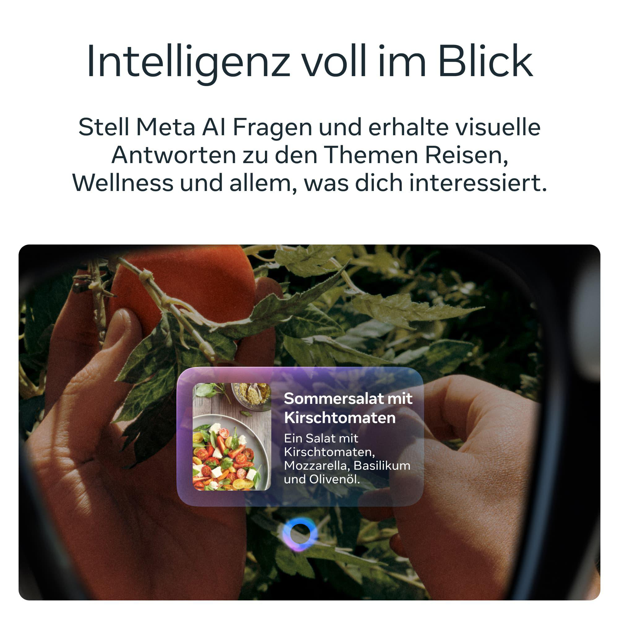 Brillenansicht zeigt Hände beim Tomatenpflücken und Rezept-Overlay für Sommersalat.
