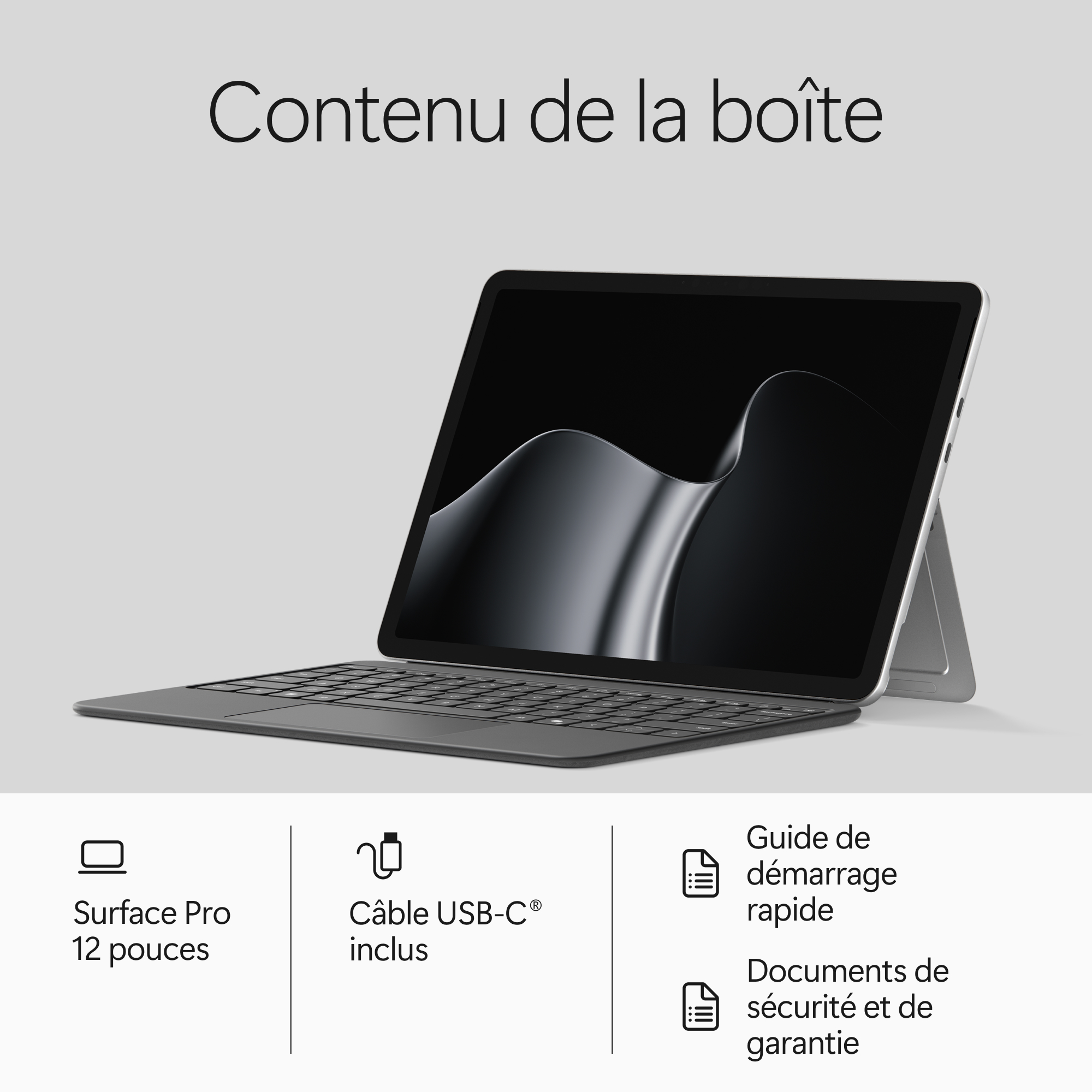 MICROSOFT Surface Pro, 12" LCD, Snapdragon® X2 Plus (6 cœurs), 16Go RAM, 256Go UFS, Platine, Windows 11 Home, Dernier modèle (2e édition)