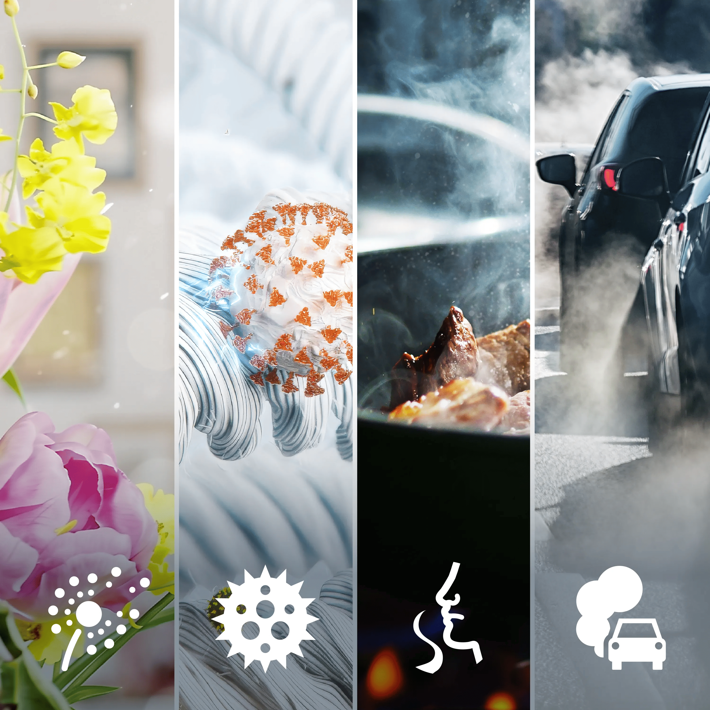 Vier geteilte Bilder zeigen Pollen, Viren, kochende Speisen und Autoabgase mit entsprechenden Symbolen.