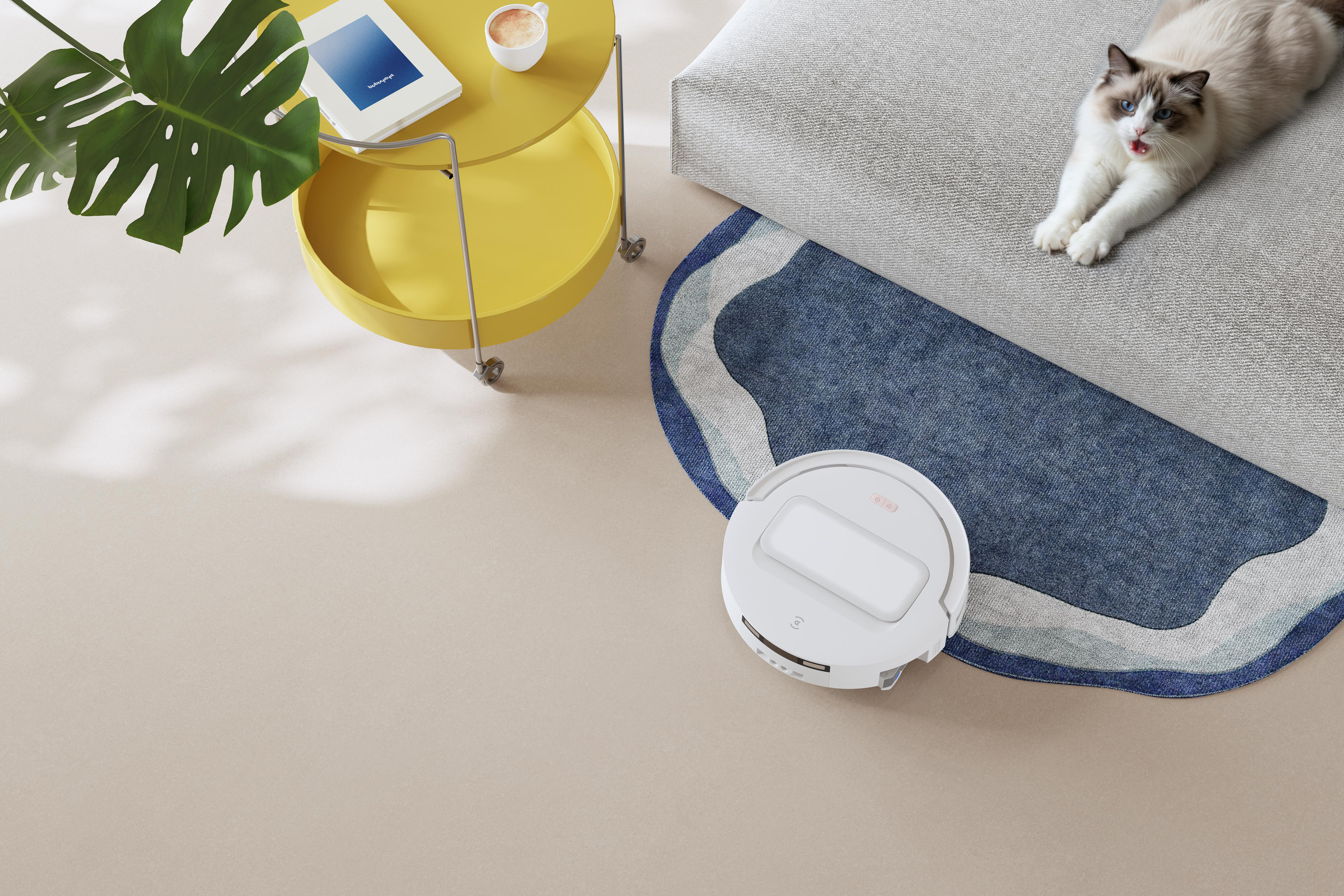 Ein weißer Saugroboter reinigt den Boden neben einem blauen Teppich. Eine Katze liegt auf einem grauen Sofa.