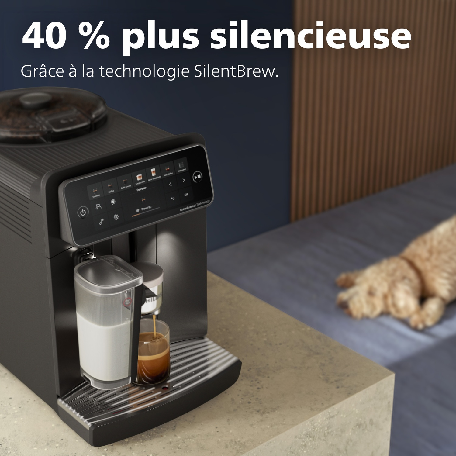 Cafetière noire sur un comptoir avec bac à lait, tasse de café et un chien endormi en arrière-plan.