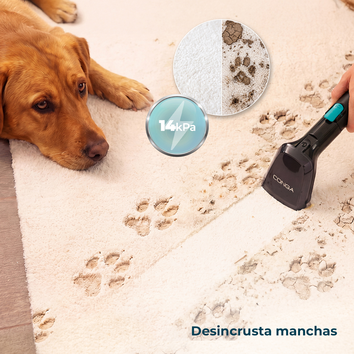 Un perro yace en una alfombra con huellas mientras un aparato de limpieza las elimina.