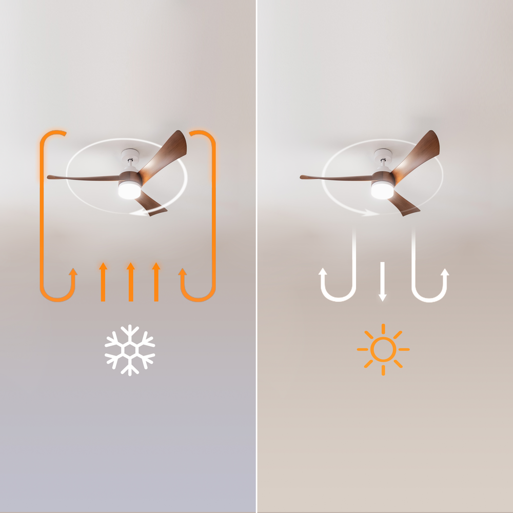 El diagrama muestra los modos de verano e invierno del ventilador de techo con flechas de flujo de aire.