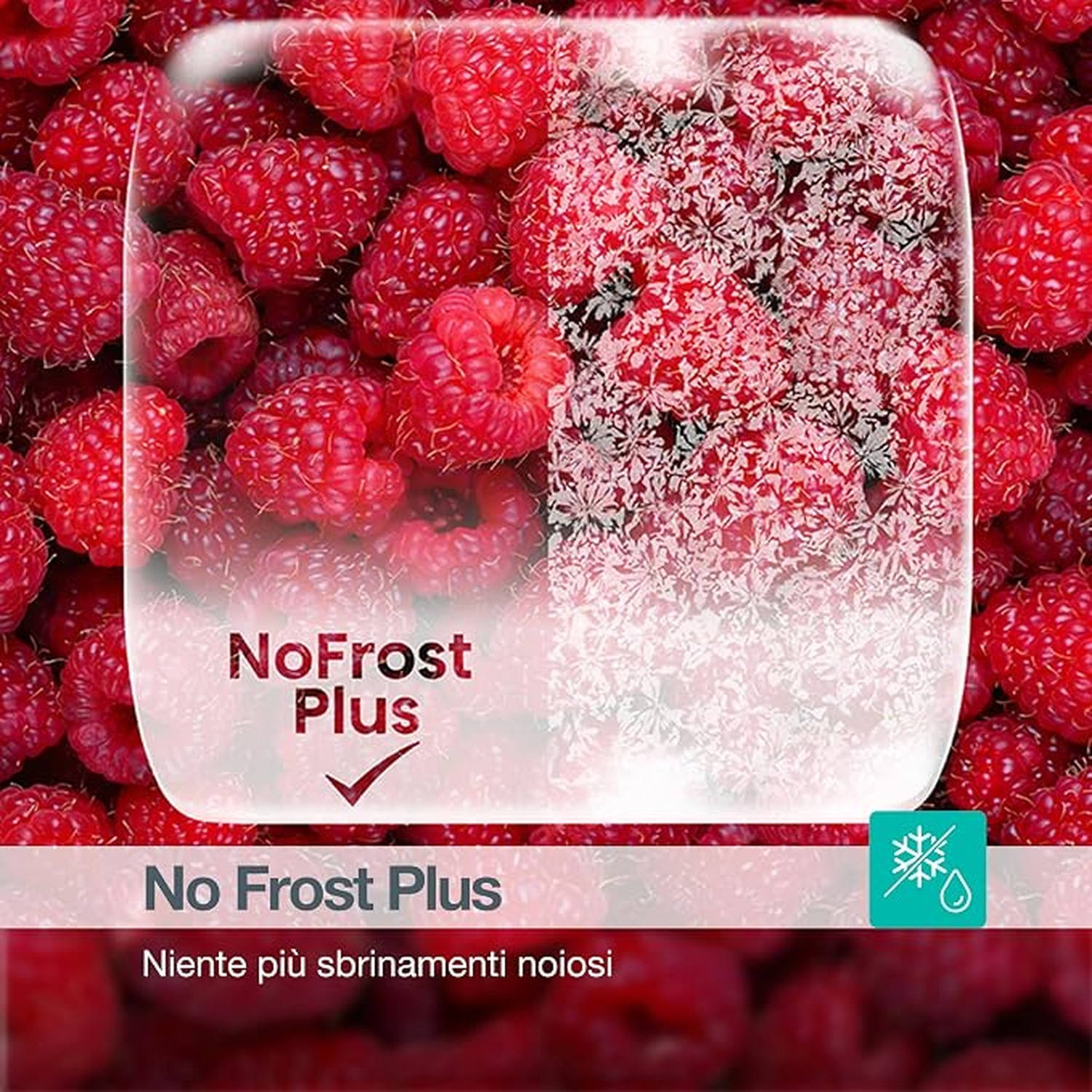 Lamponi freschi, metà senza brina, metà coperti di cristalli di ghiaccio, con etichetta NoFrost Plus.