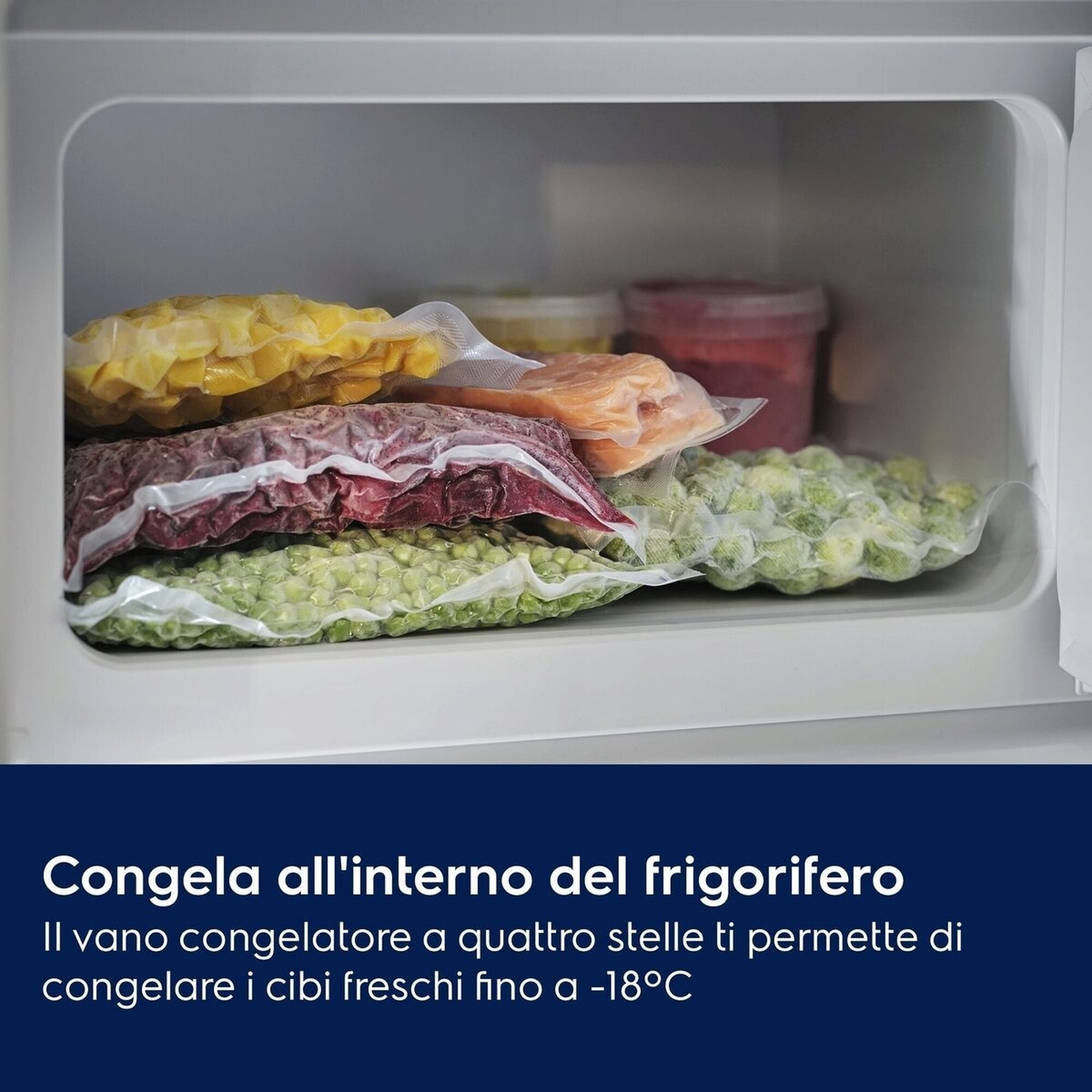 Diversi cibi surgelati in sacchetti sottovuoto nello scomparto congelatore di un frigorifero.