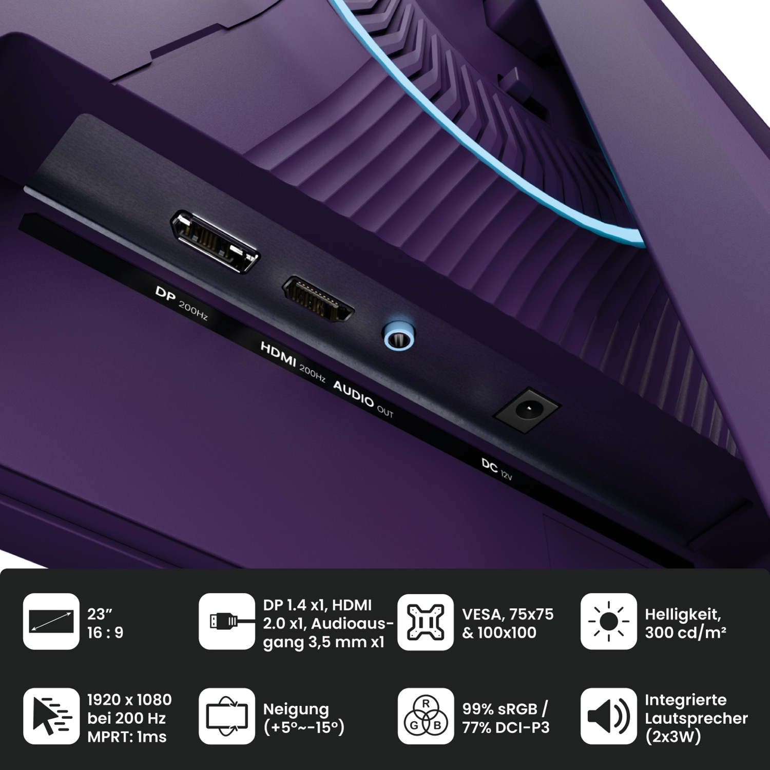 Rückseite eines violetten Monitors mit DP, HDMI, Audio- und DC-Anschlüssen sowie technischen Spezifikationen unten.