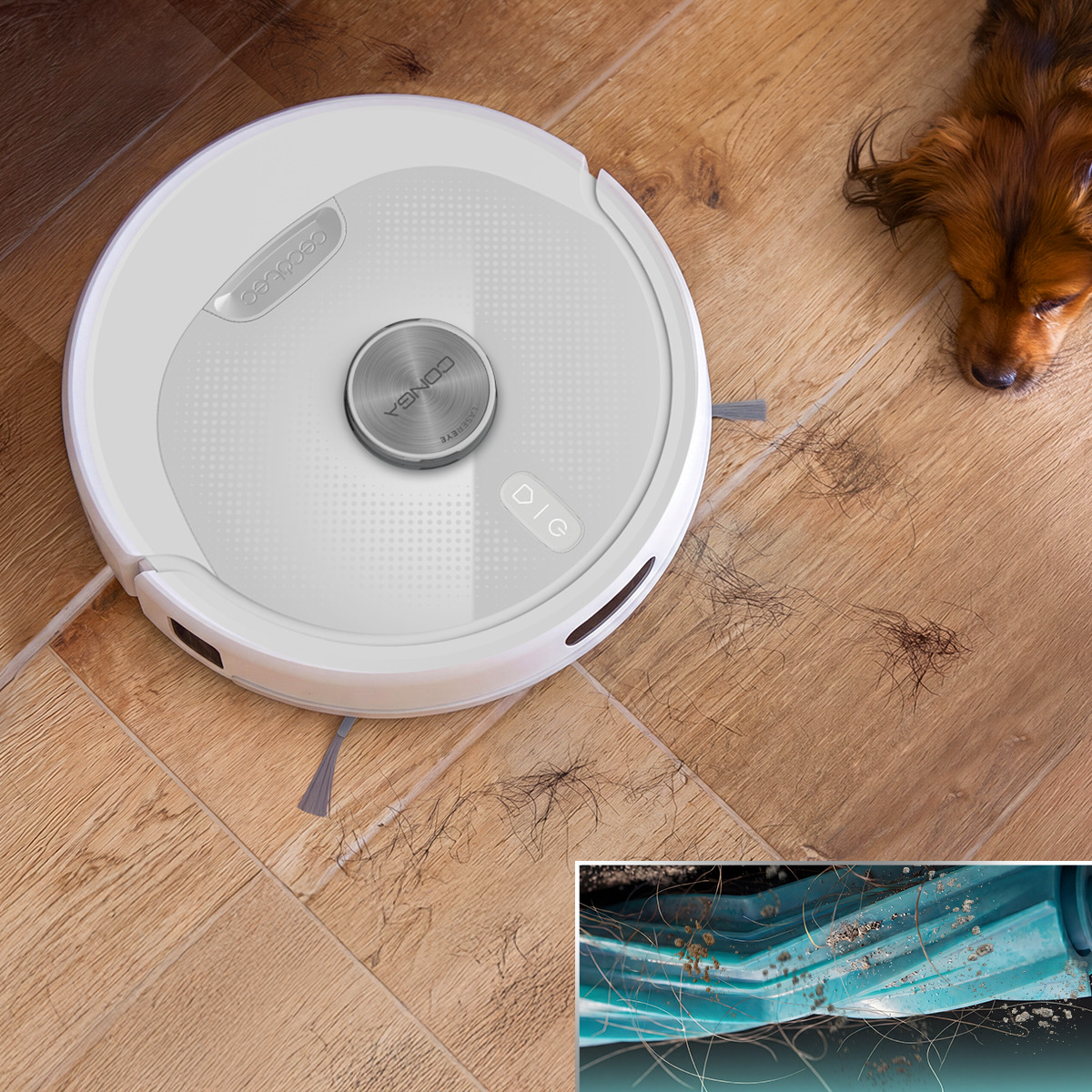 Un robot aspirador blanco limpia un suelo de madera con pelos de perro mientras un perro observa. El recuadro muestra el cepillo.