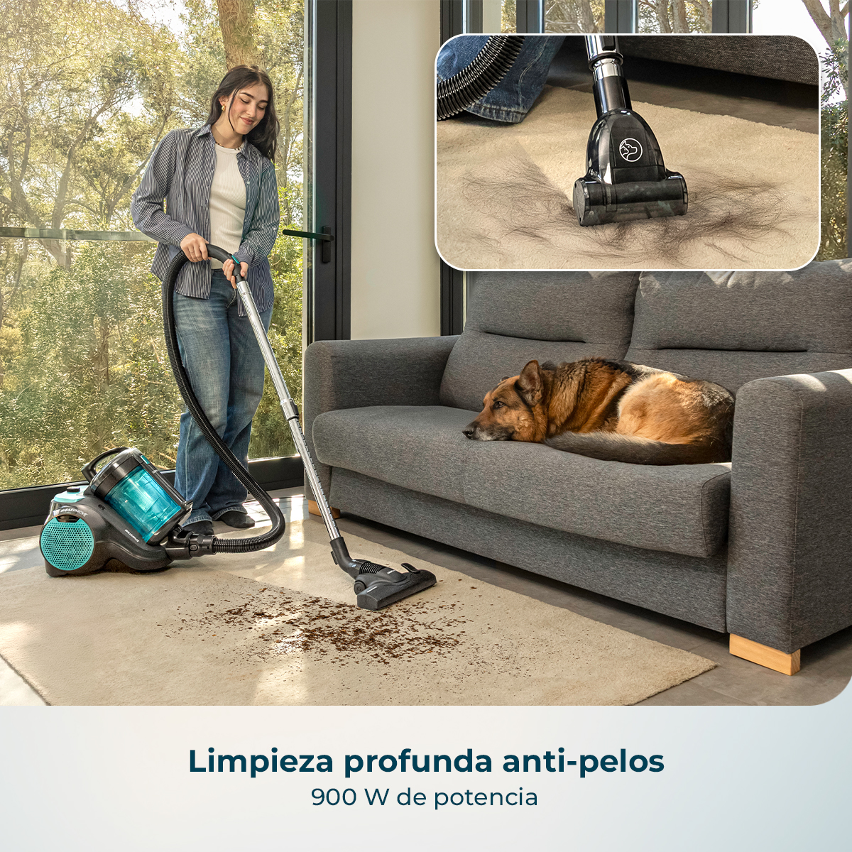 Una mujer aspira una alfombra junto a un sofá con un perro; detalle de pelos de mascota.