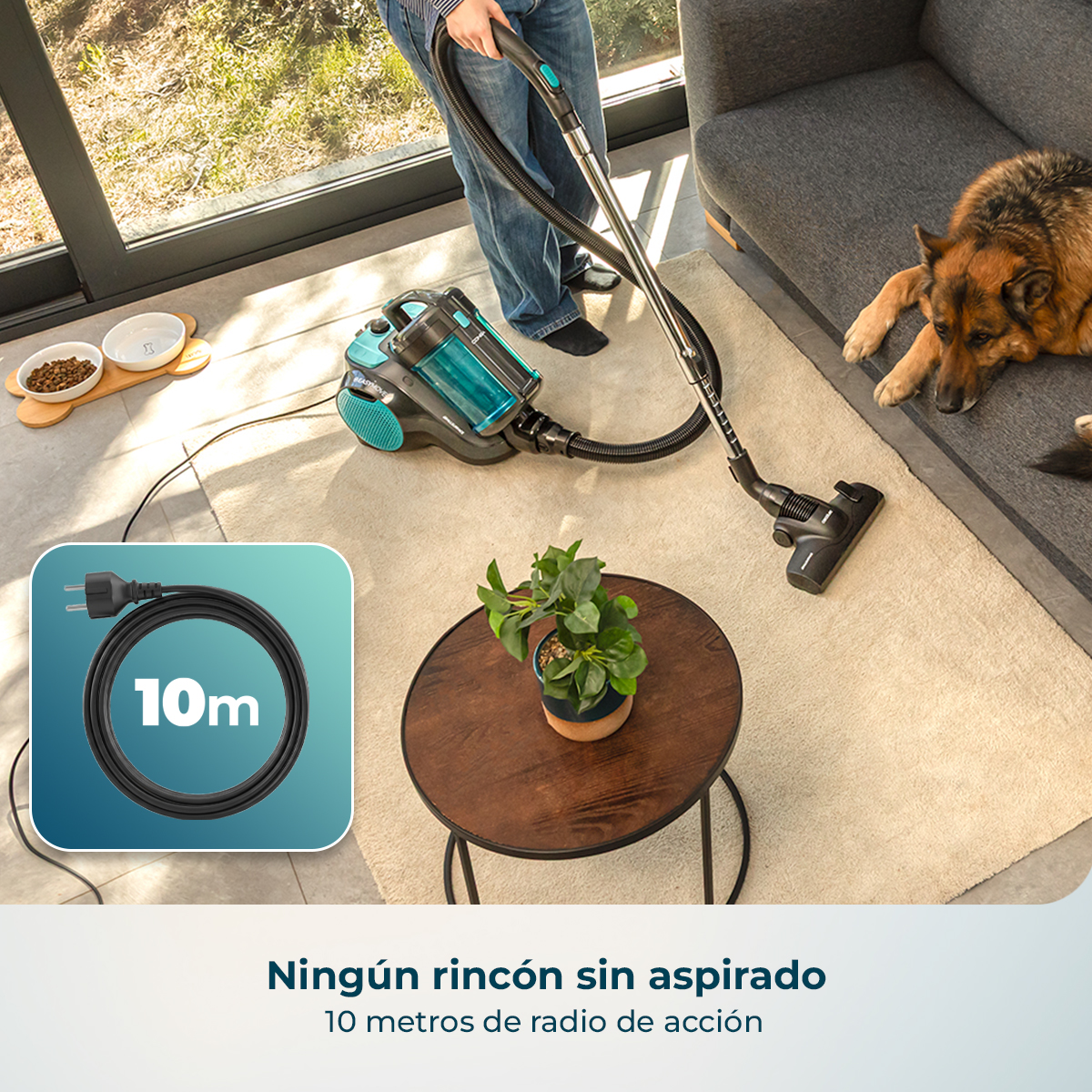 Una persona aspira una alfombra cerca de un sofá con un perro y una mesa de madera.