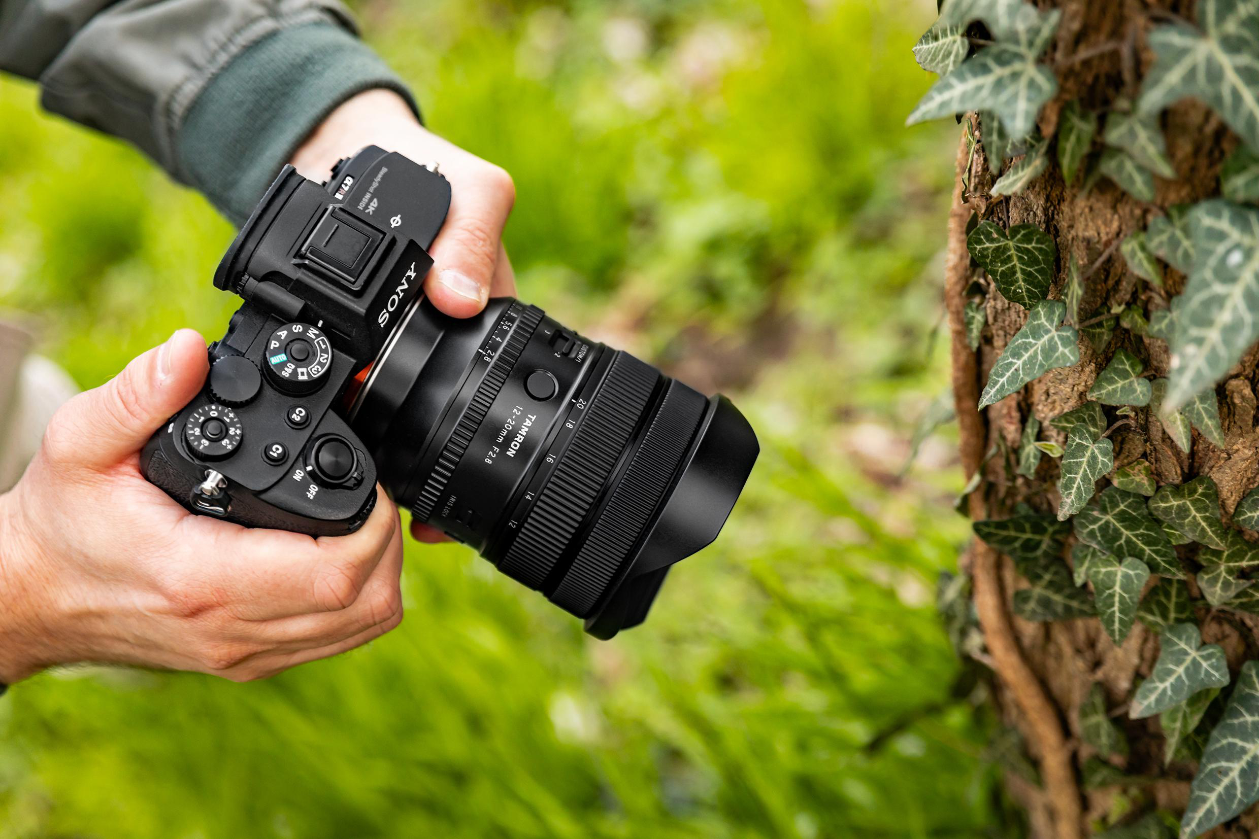 Eine Person hält eine schwarze Sony-Kamera mit Tamron-Objektiv vor einen Efeubaum.