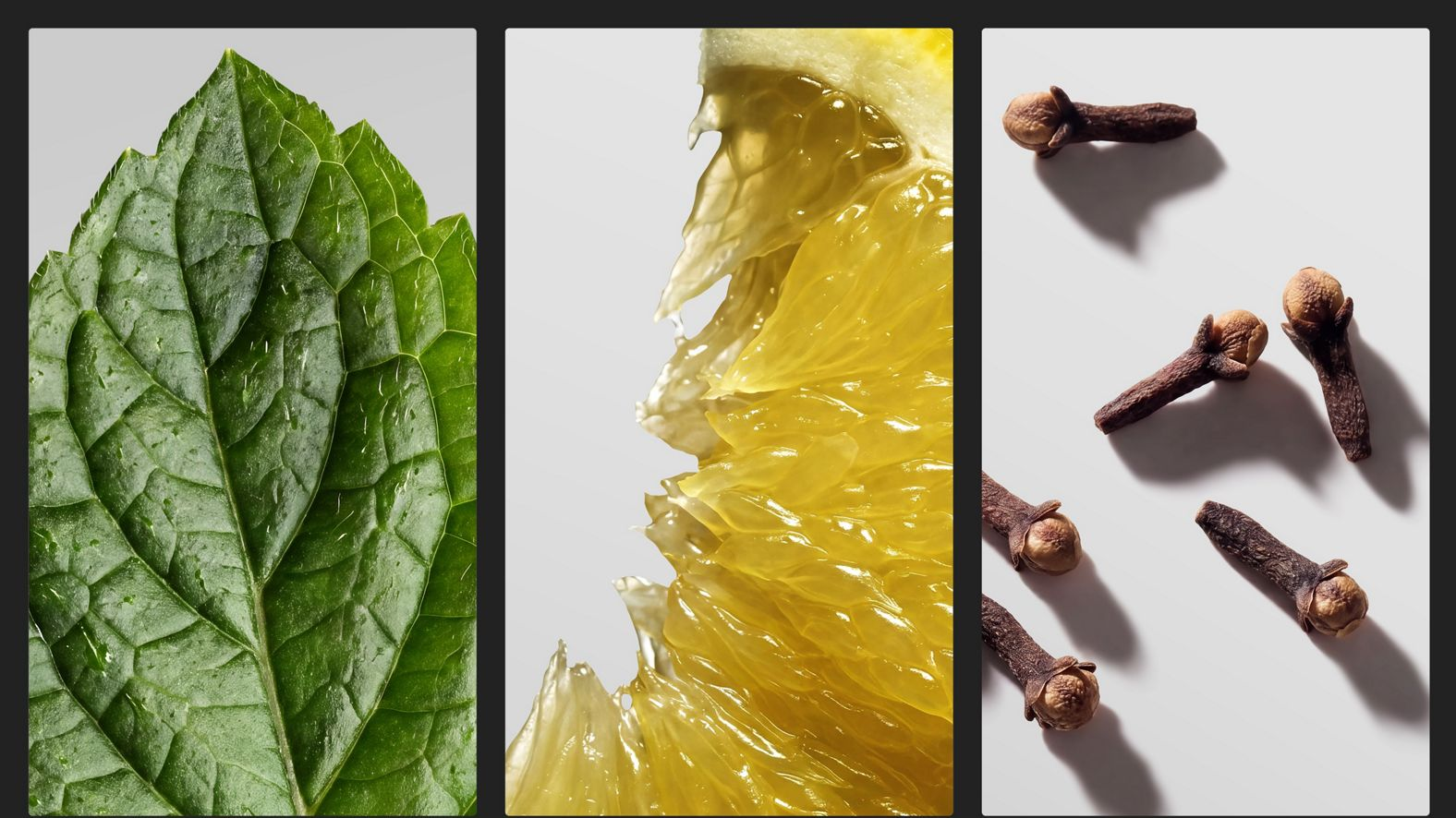 Trois panneaux verticaux affichent une feuille verte, une tranche de citron et des clous de girofle.