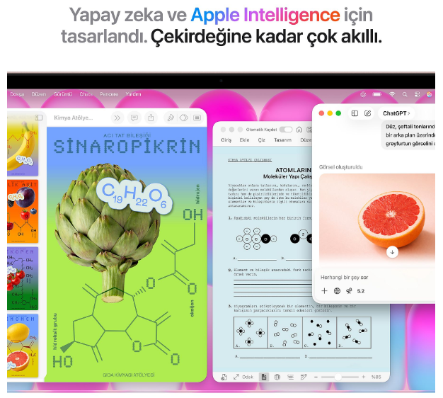 Bilgisayar ekranında enginar ve greyfurt görseli içeren dijital kimya notları ve grafikleri.