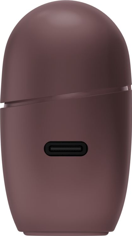 Braunes, abgerundetes elektronisches Gehäuse mit USB-C-Anschluss auf der Vorderseite.