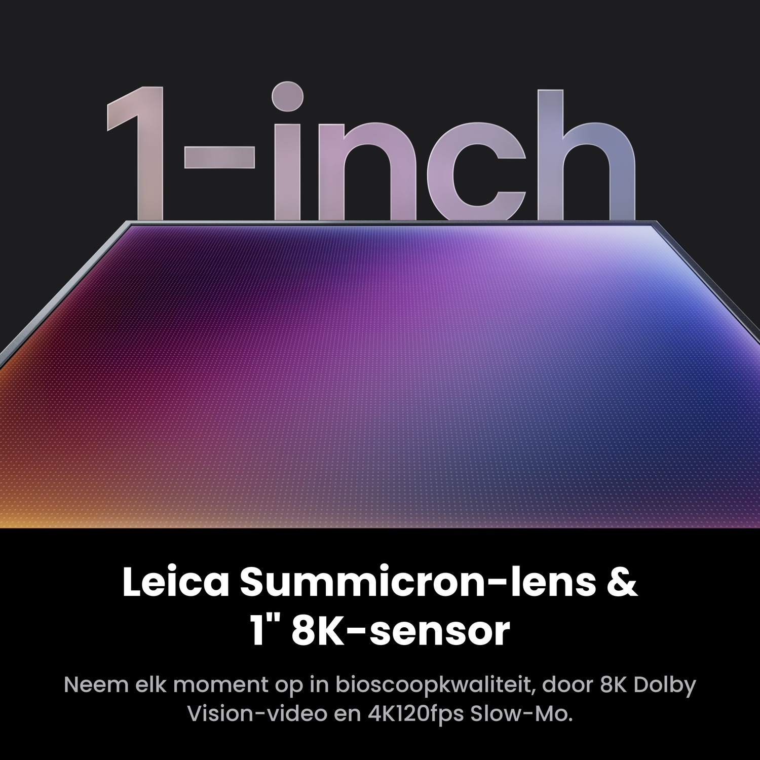 Graphic showing a 1-inch sensor, Leica Summicron lens, and 8K sensor on a dark background with Dutch text.