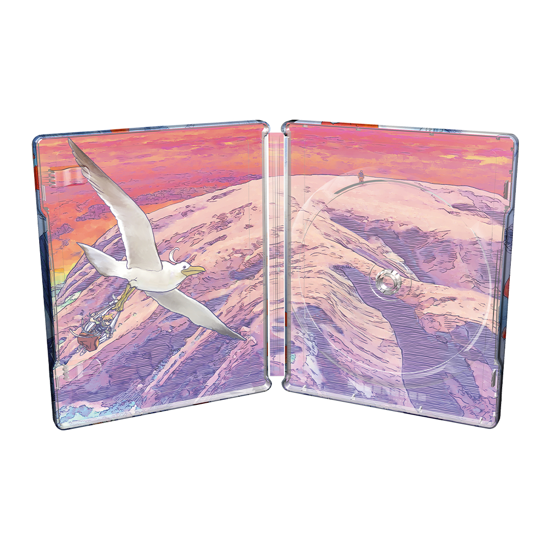 Geöffnete DVD-Hülle mit einer Illustration einer Möwe vor einer Berglandschaft bei Sonnenuntergang.