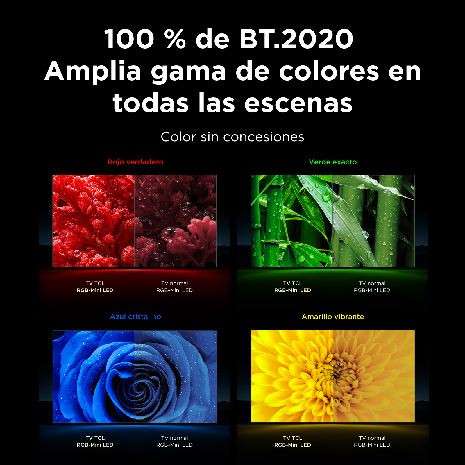 100% de BT.2020. Amplia gama de colores en todas las escenas. Color sin concesiones.
