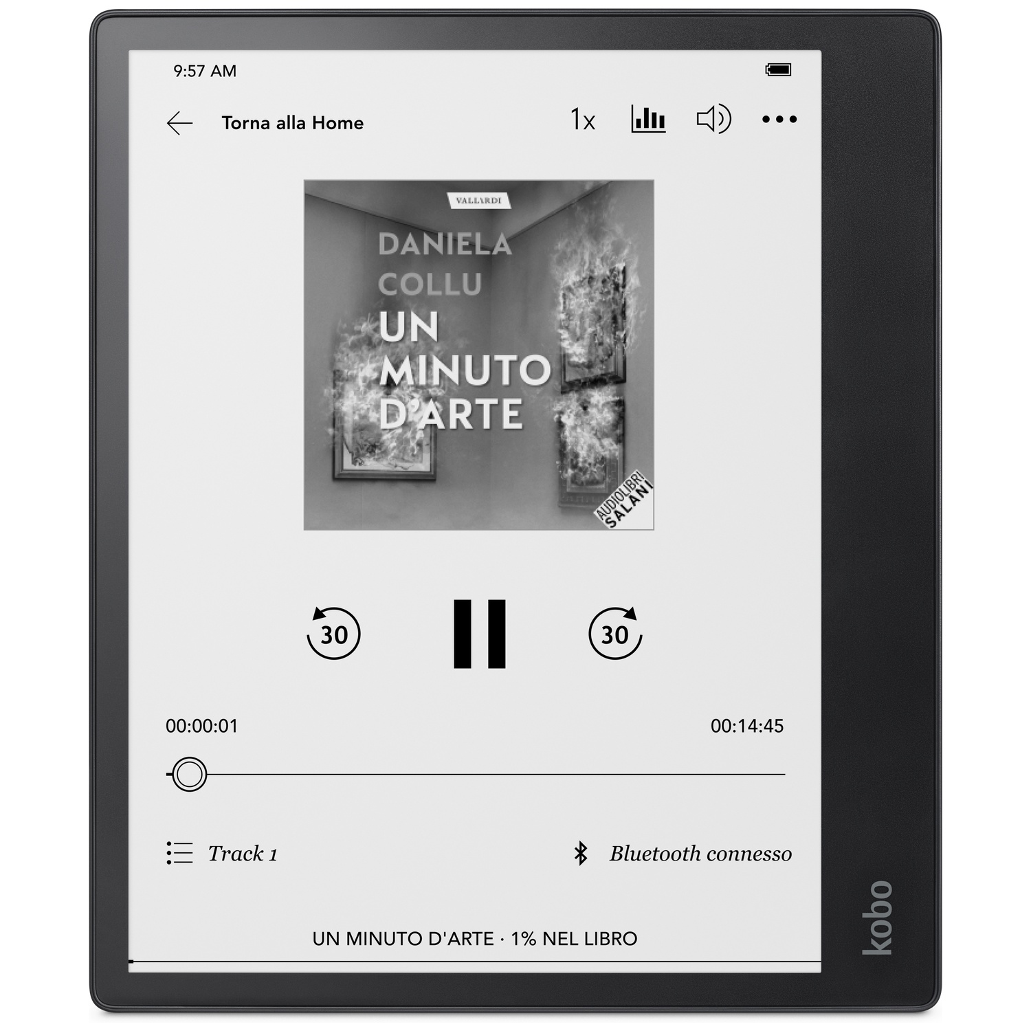 E-reader displaying an audiobook playback screen with cover art, control buttons, and a progress bar.