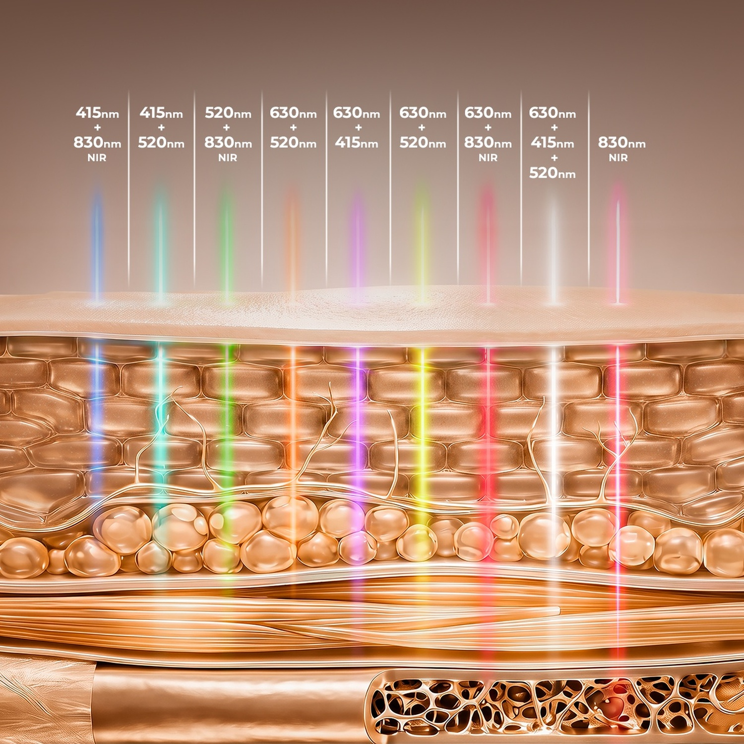Diagramma che mostra diverse lunghezze d'onda della luce che penetrano nella pelle.