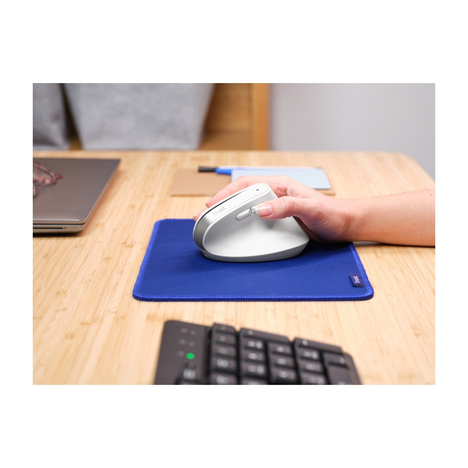 MOUSE WIRELESS TRUST BAYO+ ERG WRLS MOUSE, Collegamento Wireless, Ingresso: Otticamente a diodi laser, Scrolling a 2 direzioni, Risoluzione max 2400 dpi, forma ergonomica, White