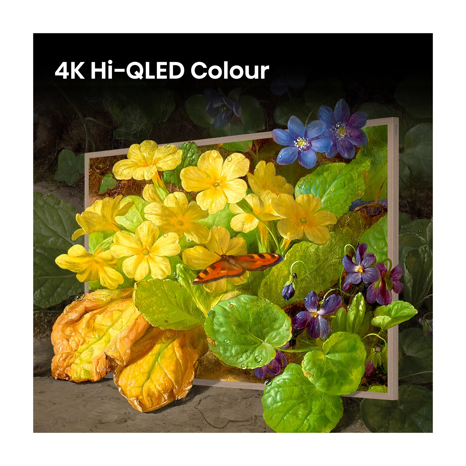 Dipinto di primule gialle, viole blu e una farfalla, etichettato 4K Hi-QLED Colour.