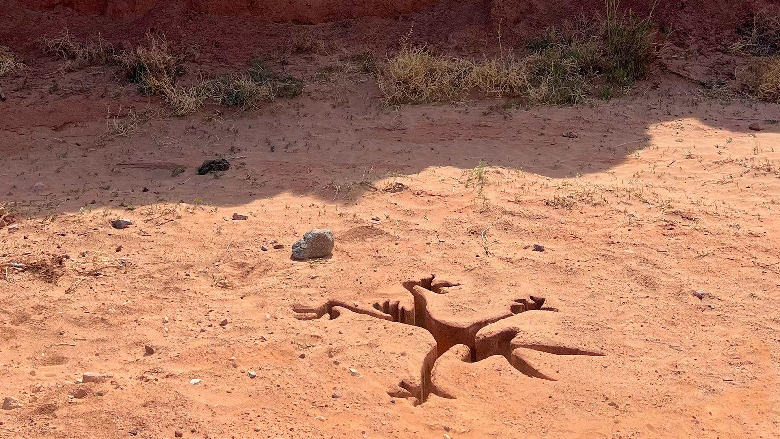 Eine Echsen Skulptur aus Metall liegt im roten Wüstensand unter kargem Gras.