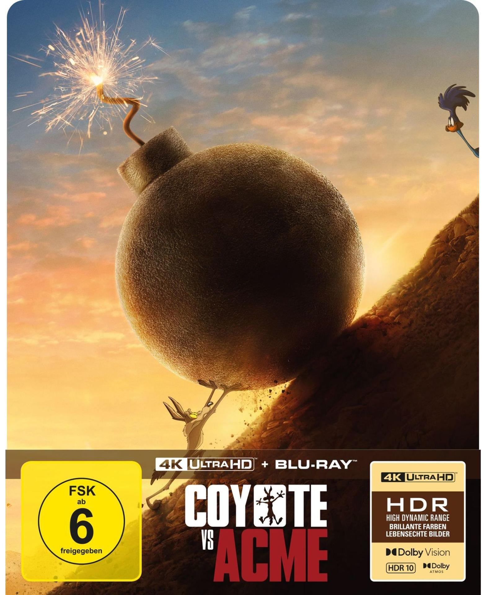 Wile E. Coyote schiebt eine riesige brennende Bombe den Hang hinauf, während Road Runner zusieht.