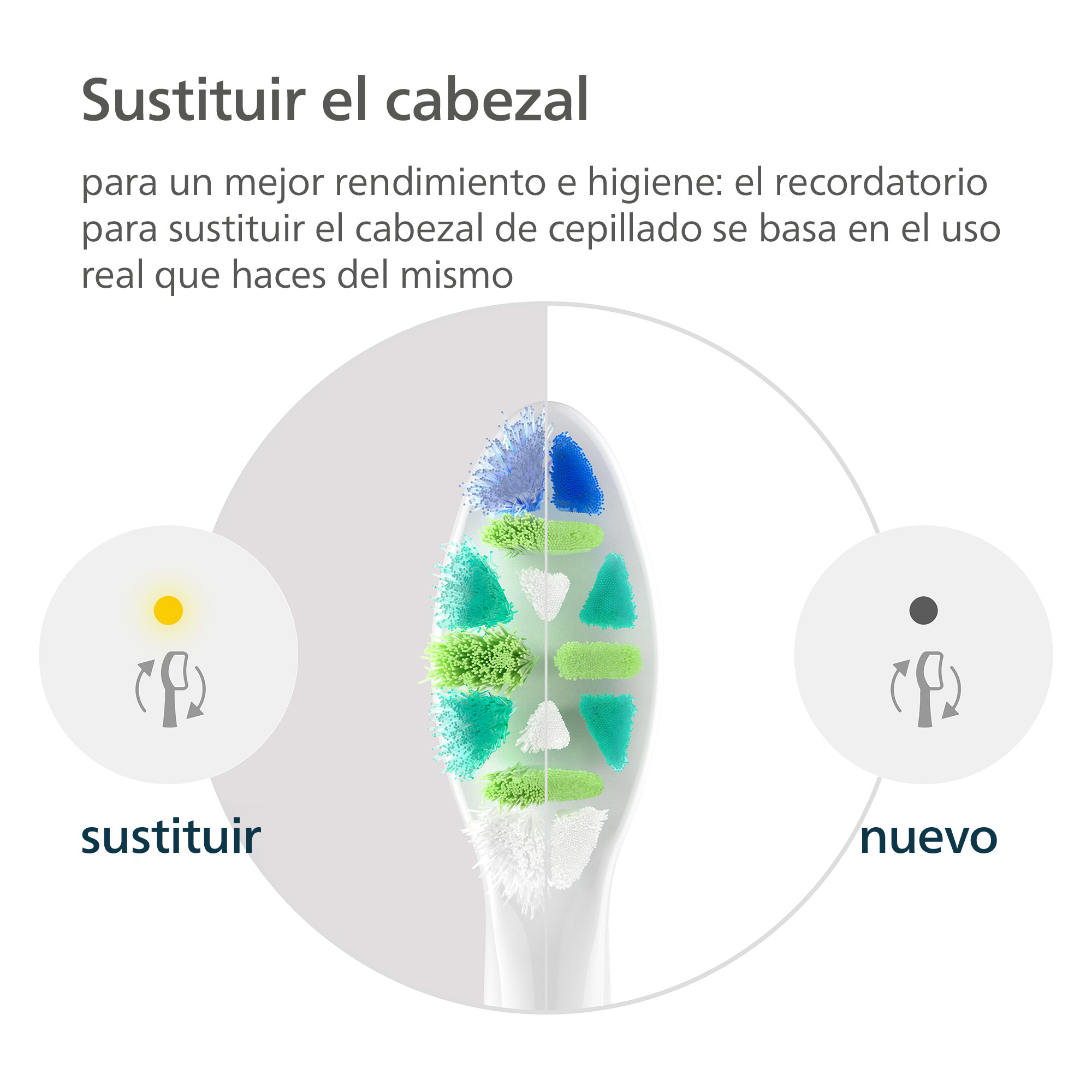 Comparación de un cabezal de cepillo nuevo y uno desgastado con texto en español.