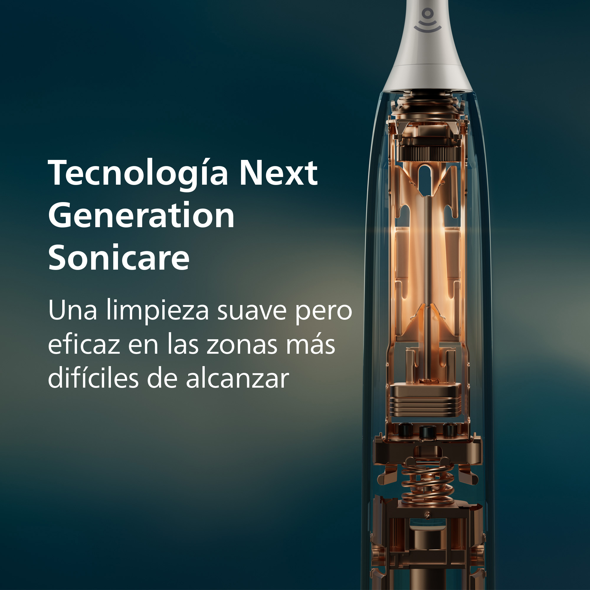 Vista en corte de un cepillo dental eléctrico que muestra la mecánica interna con texto sobre fondo oscuro.