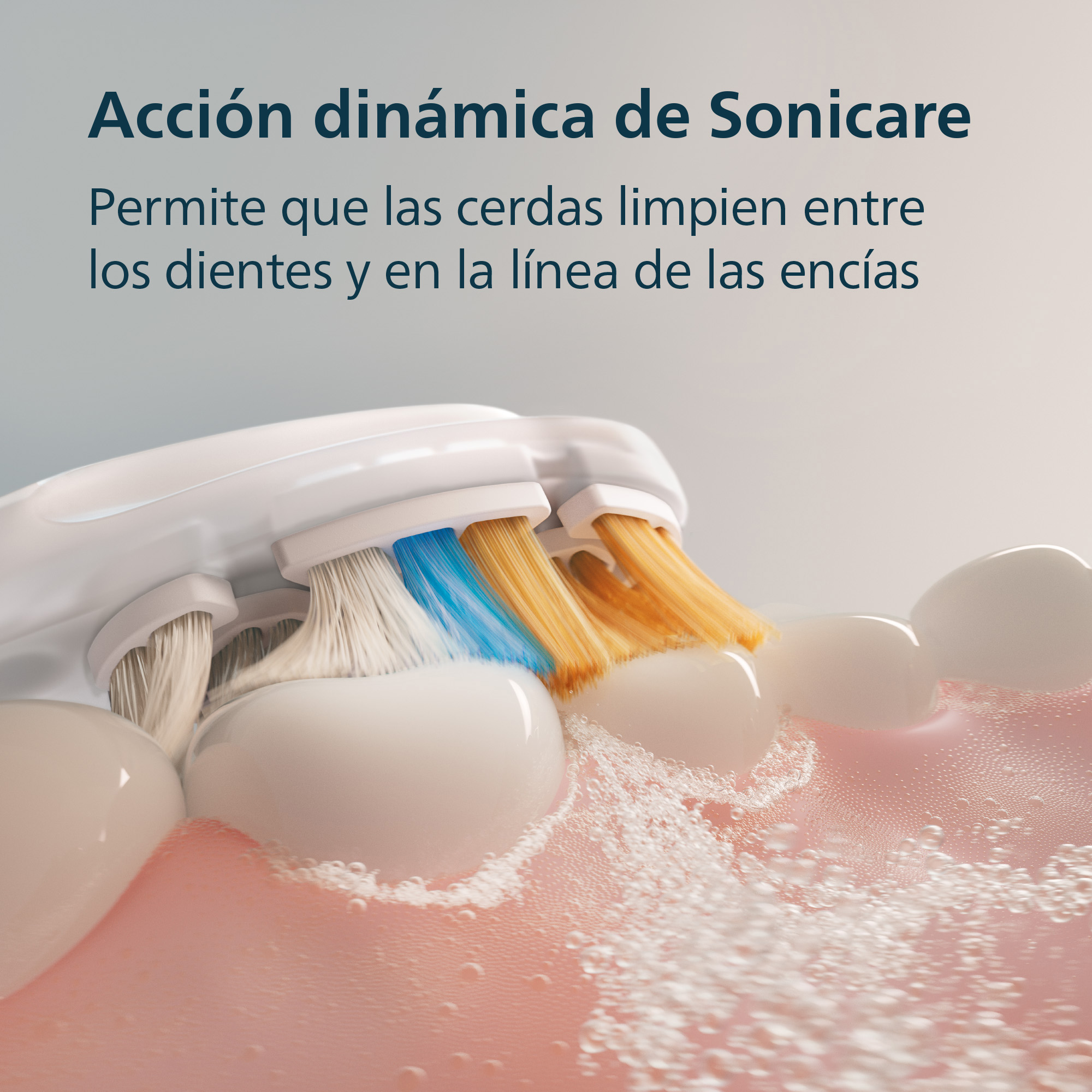 Un cepillo de dientes eléctrico limpia dientes y encías con espuma blanca. Texto en español arriba.