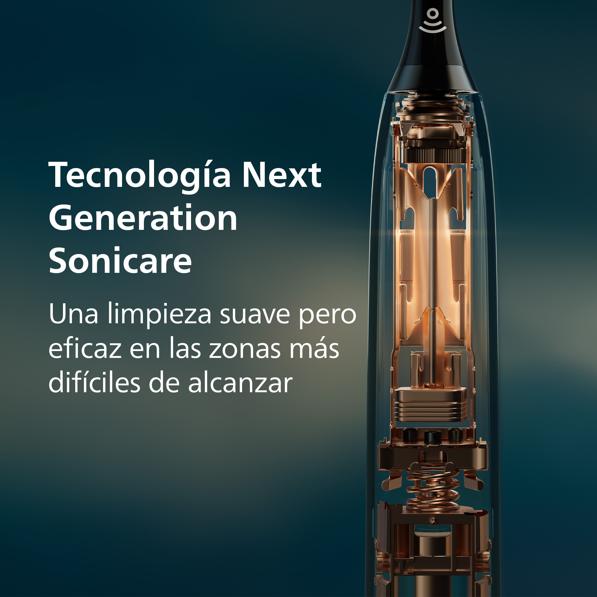 Vista transparente del mecanismo interno de un cepillo de dientes eléctrico con piezas de cobre.