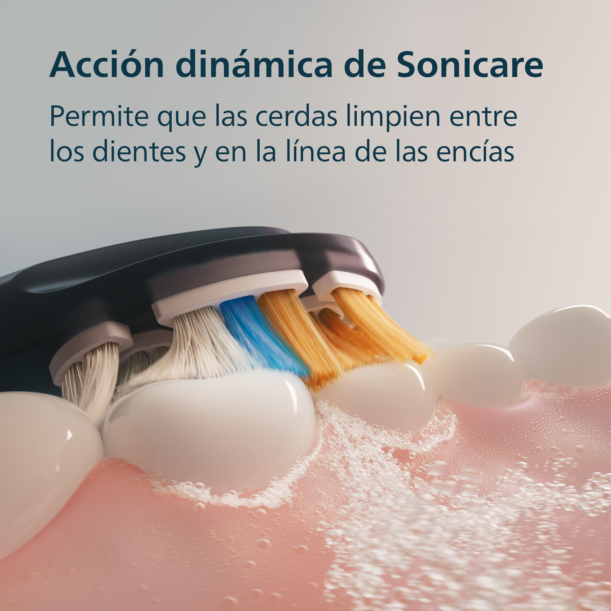 Cabezal de cepillo Sonicare limpia entre dientes y encías con cerdas blancas, azules y amarillas.