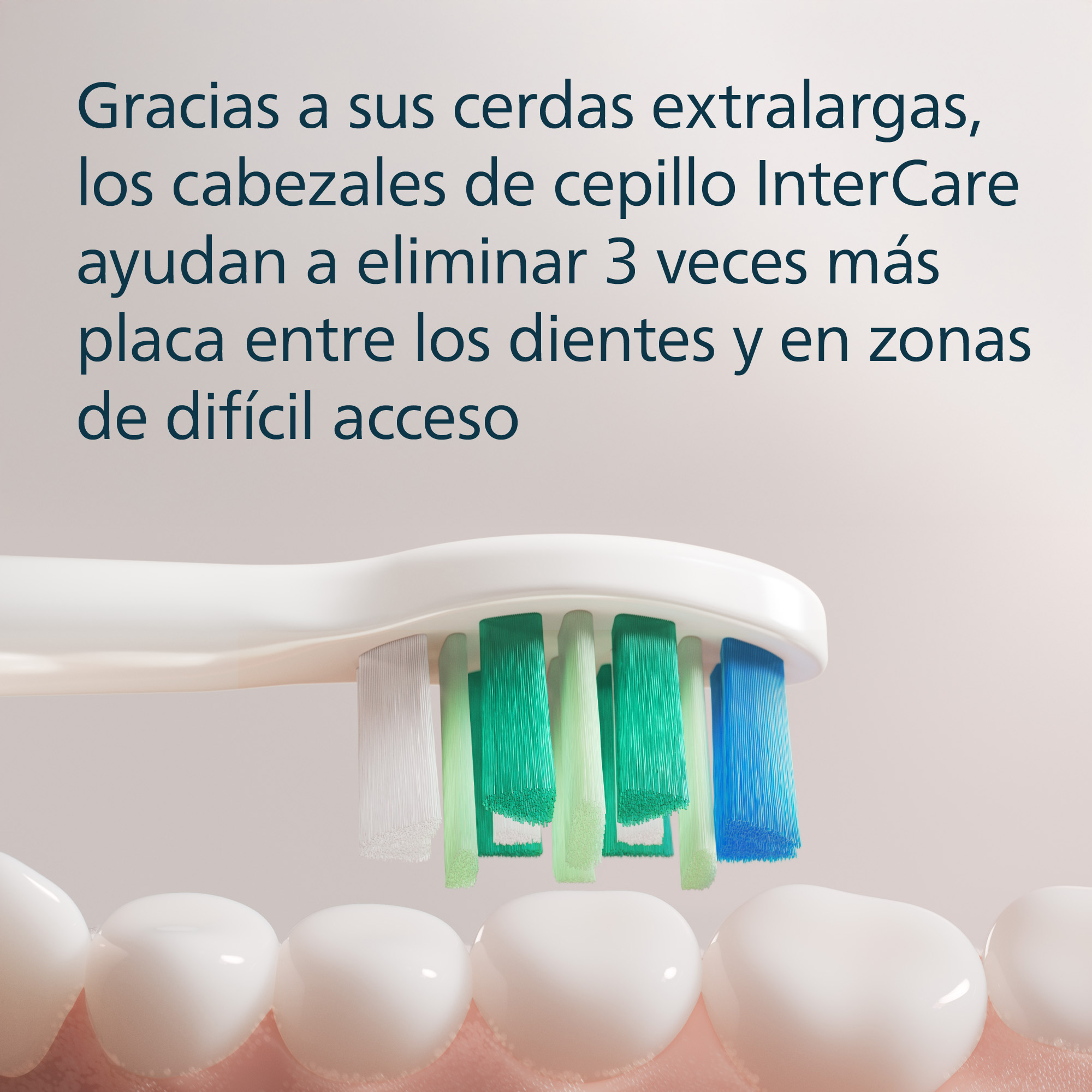 Un cepillo blanco con cerdas verdes, azules y blancas limpia dientes blancos. Texto arriba.