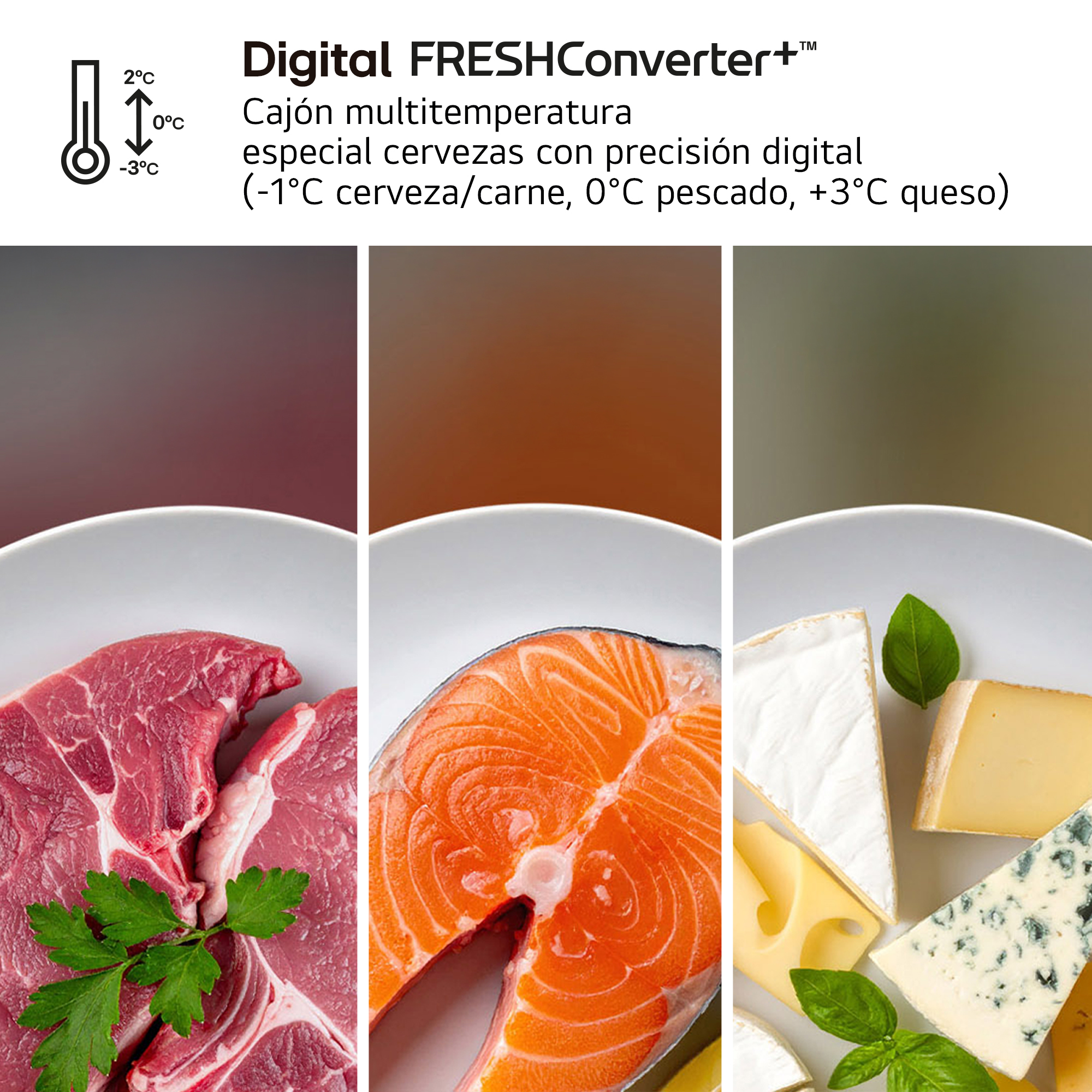 Digital FRESHConverter+ Cajón multitemperatura especial cervezas con precisión digital (-1°C cerveza/carne, 0°C pescado, +3°C queso)