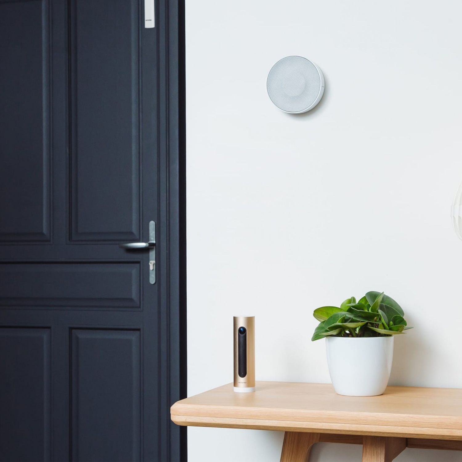 SISTEMA DI ALLARME NETATMO WELCOME+SIRENA+TAGS