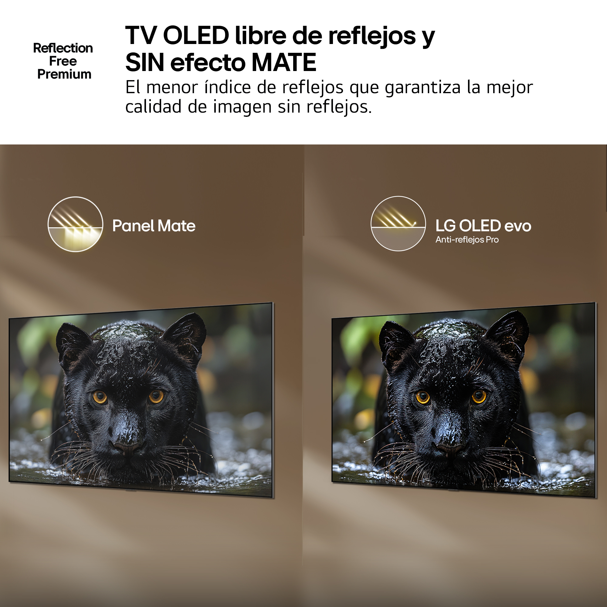 TV OLED libre de reflejos y SIN efecto MATE El menor índice de reflejos que garantiza la mejor calidad de imagen sin reflejos