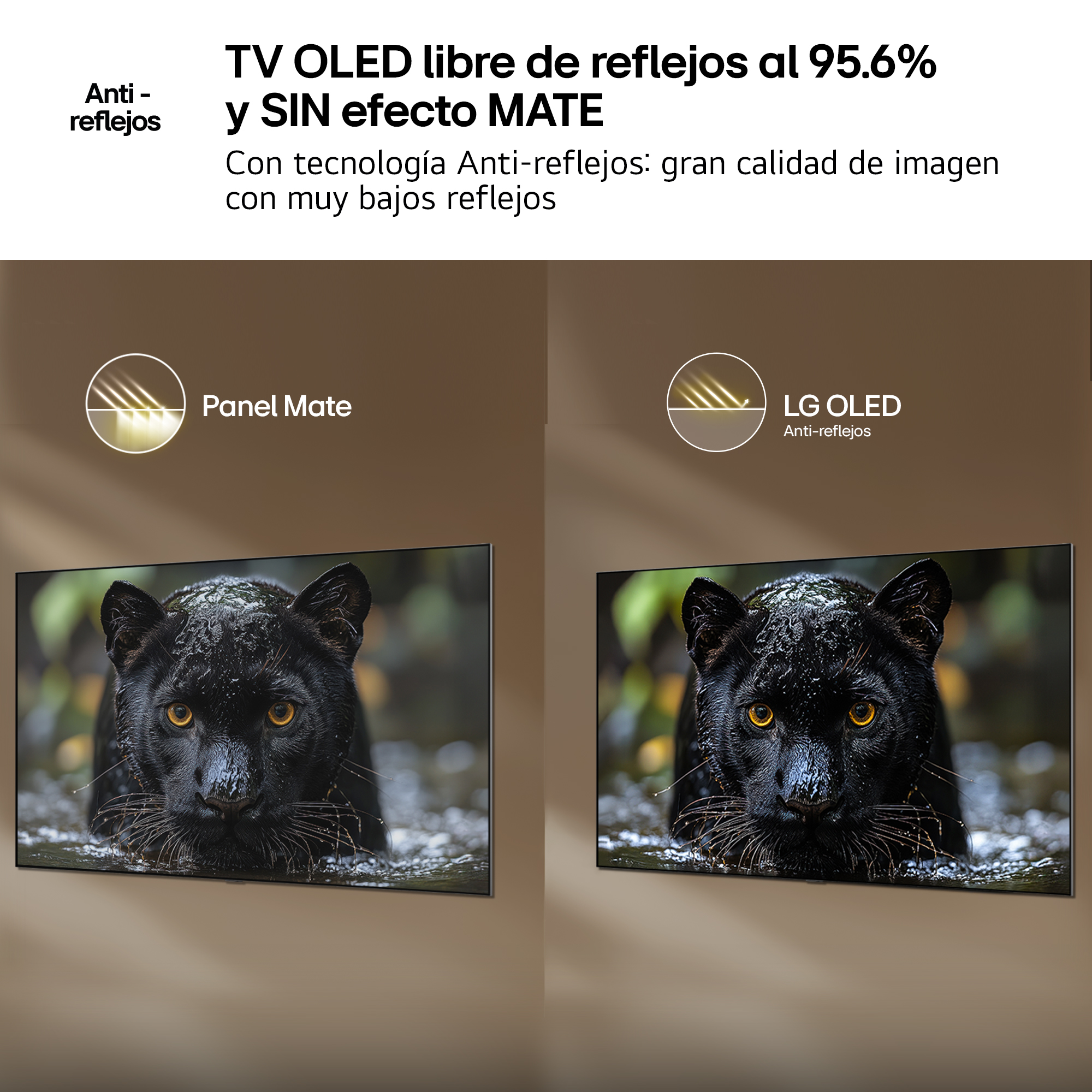 TV OLED libre de reflejos al 95.6% y SIN efecto MATE Con tecnología Anti-reflejos: gran calidad de imagen con muy bajos reflejos