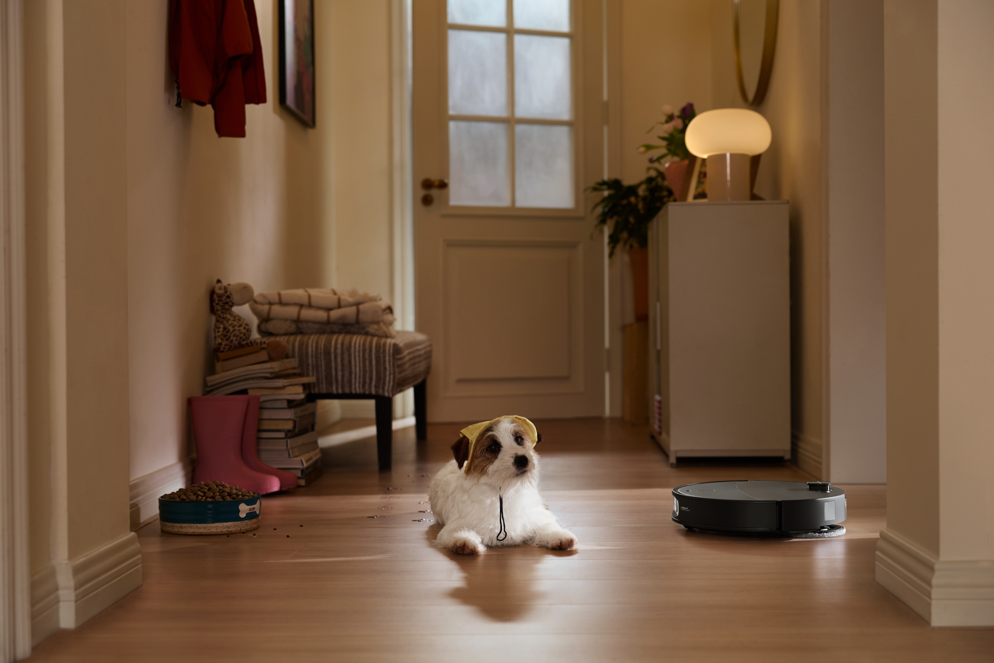 Egy sárga kapucnis Jack Russell terrier fekszik a folyosó fa padlóján egy robotporszívó mellett.