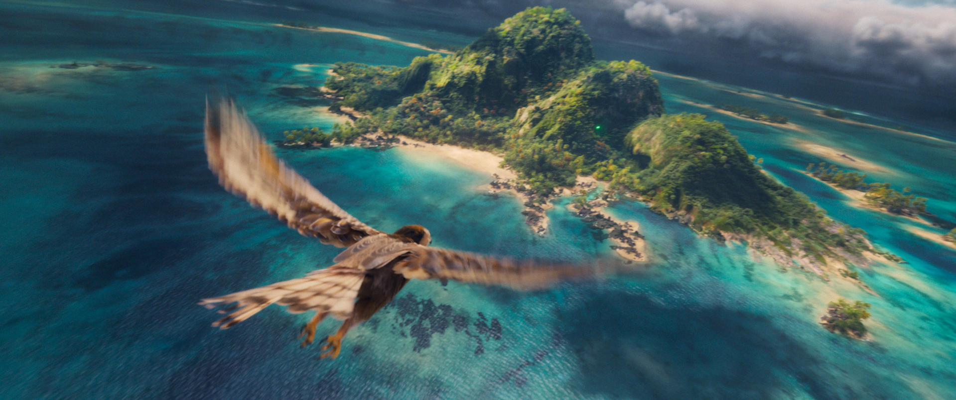 Ein Falken fliegt im Flug über eine tropische Insel mit klarem blauem Wasser.