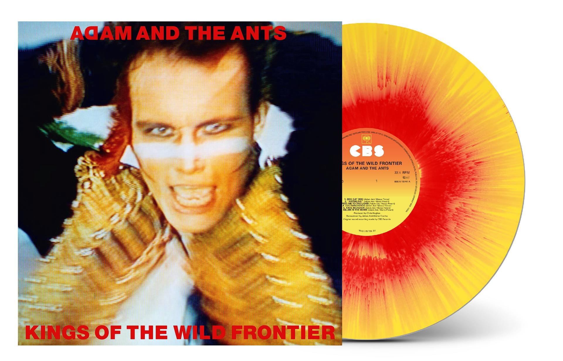 Adam and the Ants LP cover und gelb-rote Vinyl-Schallplatte.