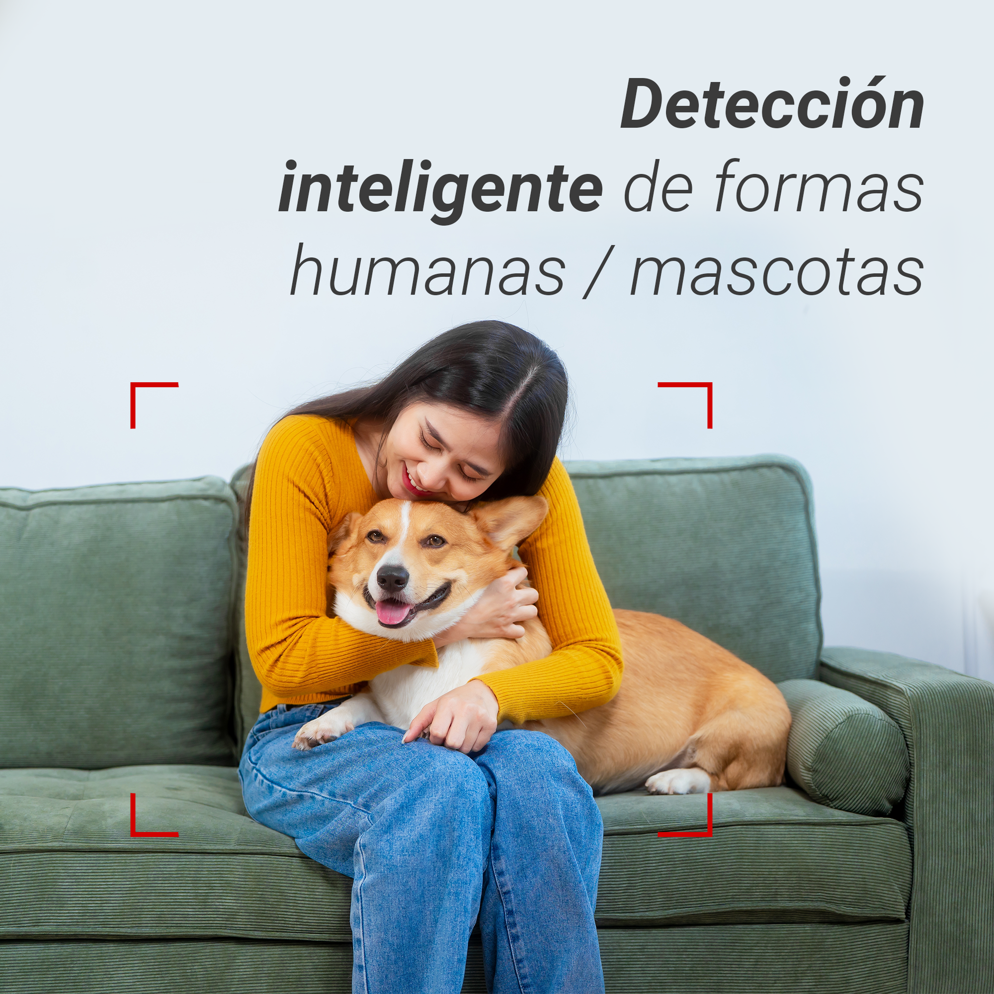 Una mujer con suéter amarillo está sentada en un sofá verde abrazando a un perro corgi. Texto arriba.