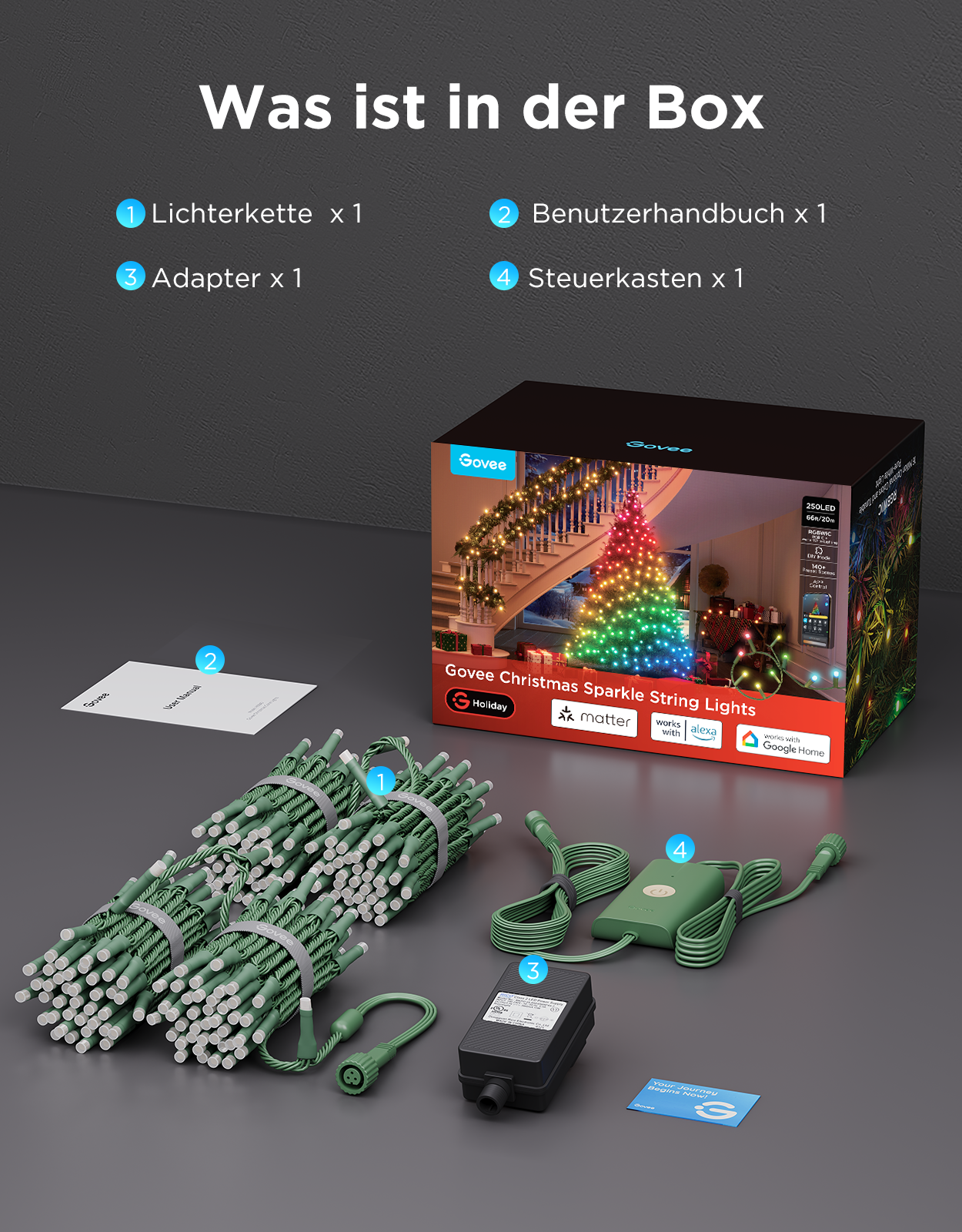 Produktinhalt: Lichterkette, Benutzerhandbuch, Adapter und Steuerkasten vor einer Box.