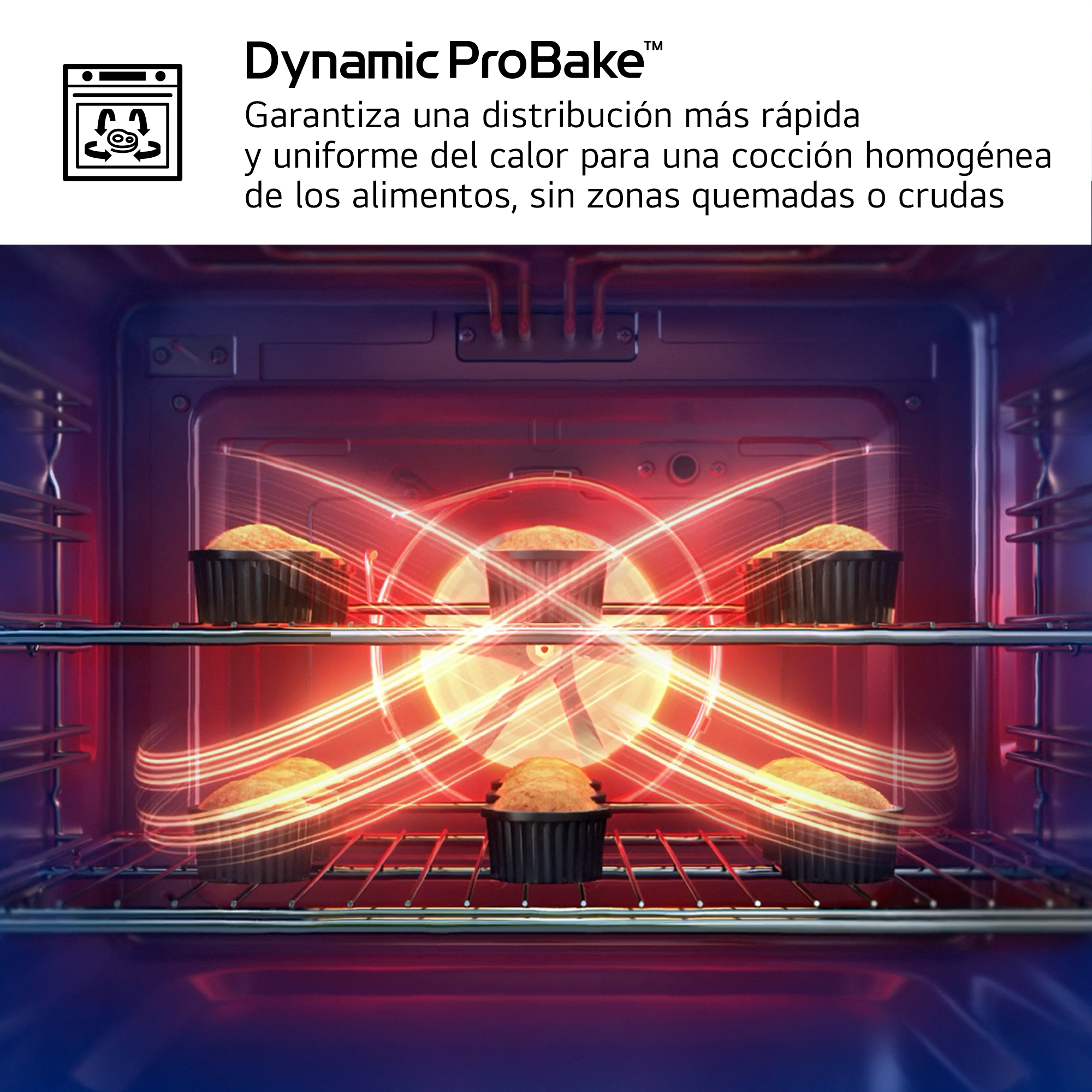 Interior de horno con magdalenas en dos repisas y líneas de calor, con texto sobre Dynamic ProBake.