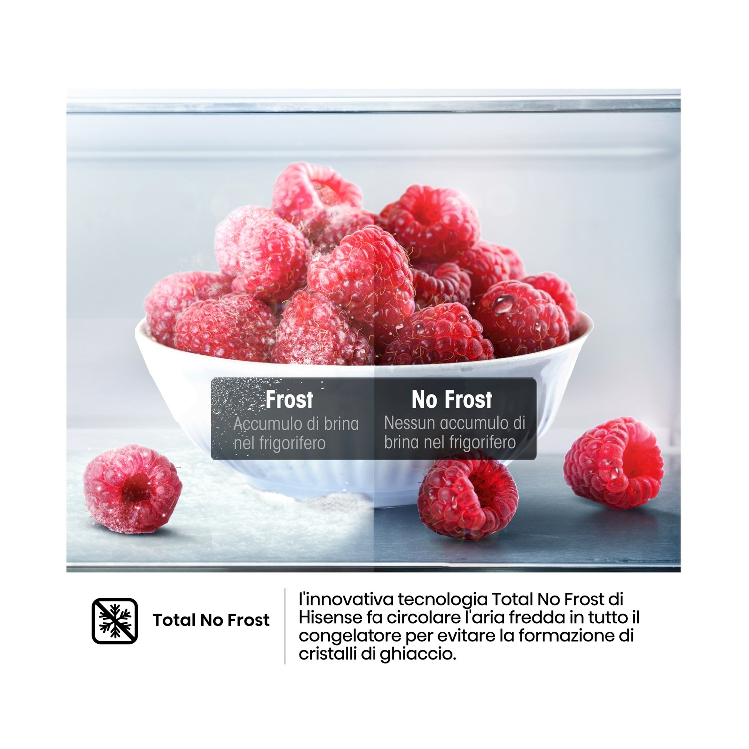 FRIGORIFERO COMBINATO HISENSE FCN331ACA, Capacità netta totale 336 l, Rumorosità: 35 dB(A), 4 ripiani, Dimensioni: L 59,5 cm A 201,7 cm P 57,9 cm, Inox, Classe A