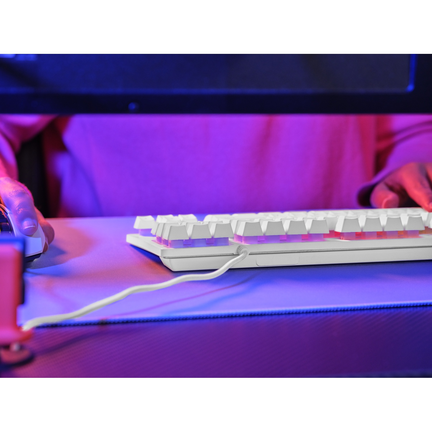 A person sits at a desk with a white keyboard and mouse under blue and pink ambient light.