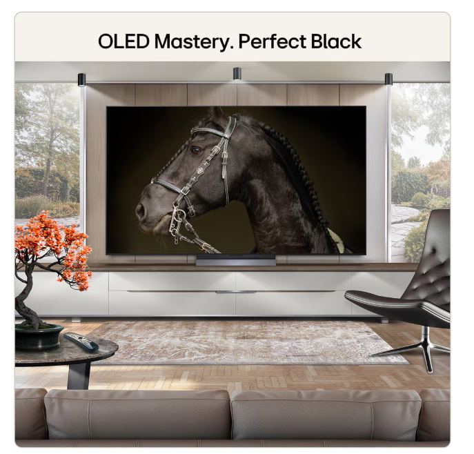 At görseli olan büyük bir OLED TV, kanepe ve bonsai ağacı olan modern bir oturma odasında.